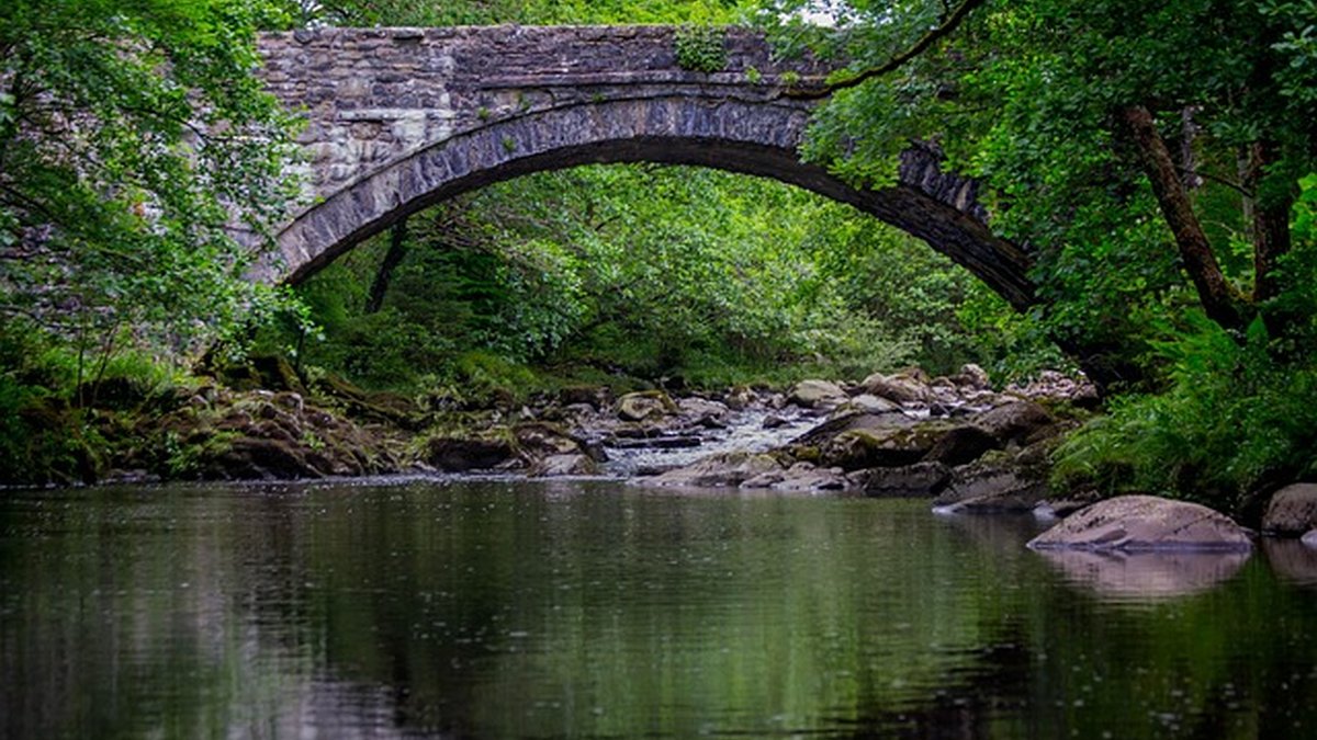 Alta y baja de autónomos: guía completa y pasos clave 2026