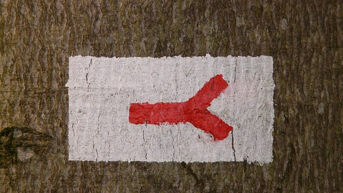 Asesoría fiscal para facturación electrónica y SII: guía 2026