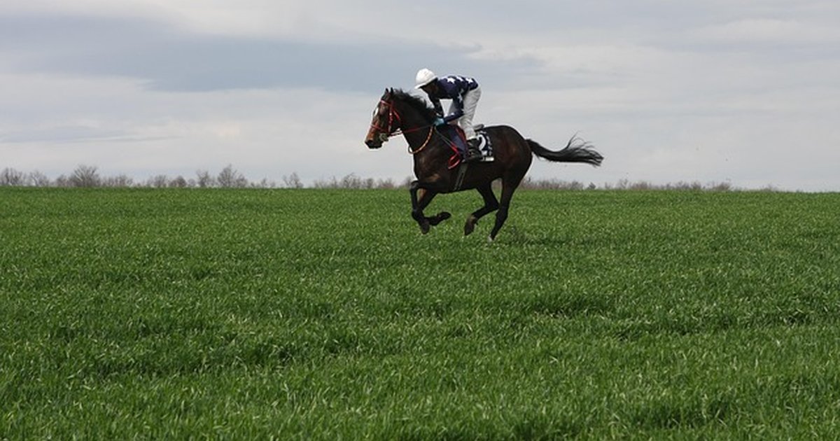 Backup y ciberseguridad para PYMES con datos sensibles