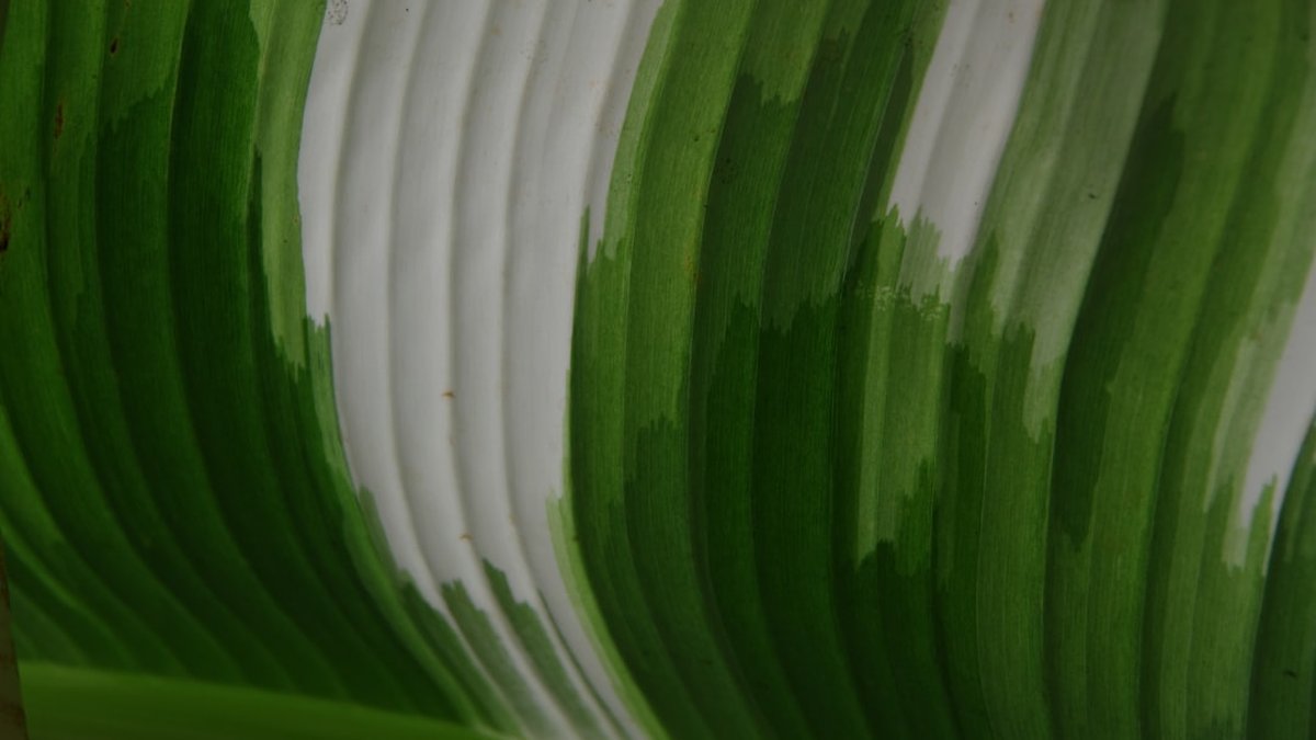 Certificaciones de sostenibilidad y eficiencia para pymes: guía práctica y ROI