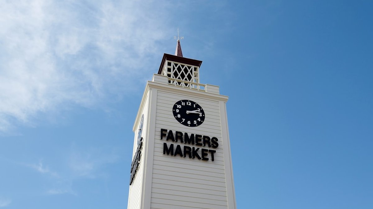 Channel managers y gestión de alquiler vacacional 2026