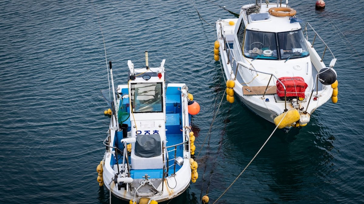 Evitar costes ocultos: consultoría en movilidad y gestión de flotas para PYMES