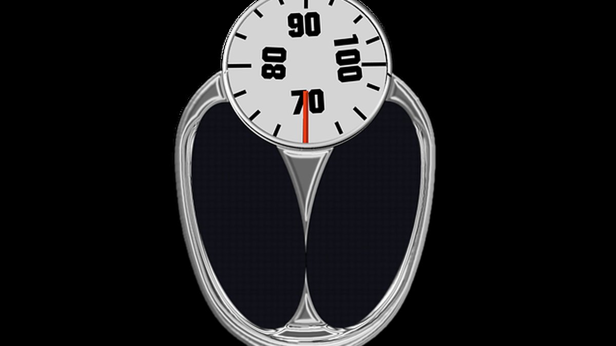 Control de inventarios y rotación: guía rentable para comercios