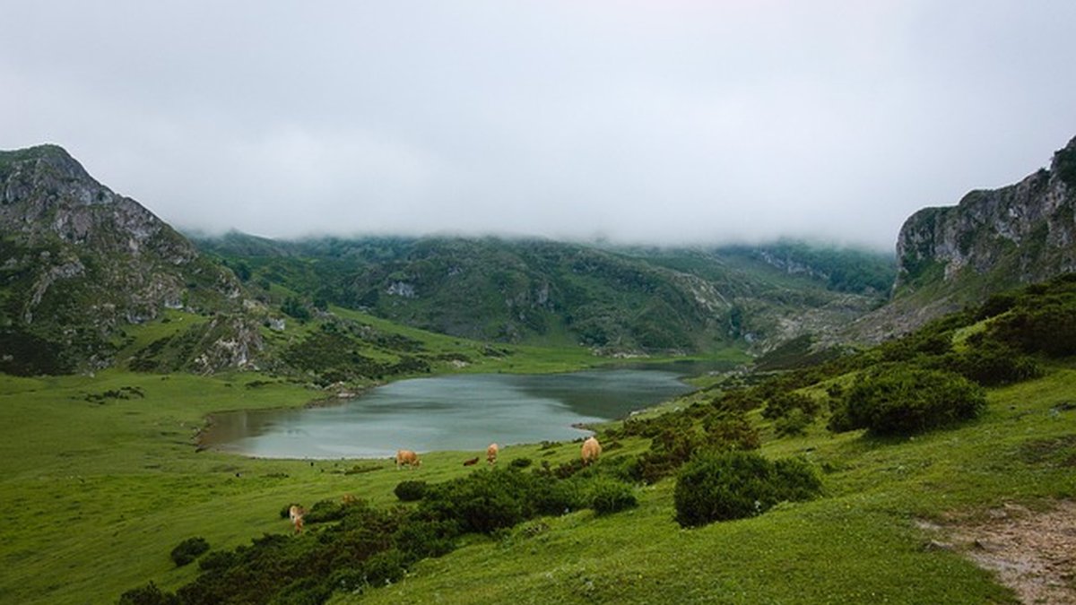 Crowdfunding de recompensas para lanzar productos: guía 2026