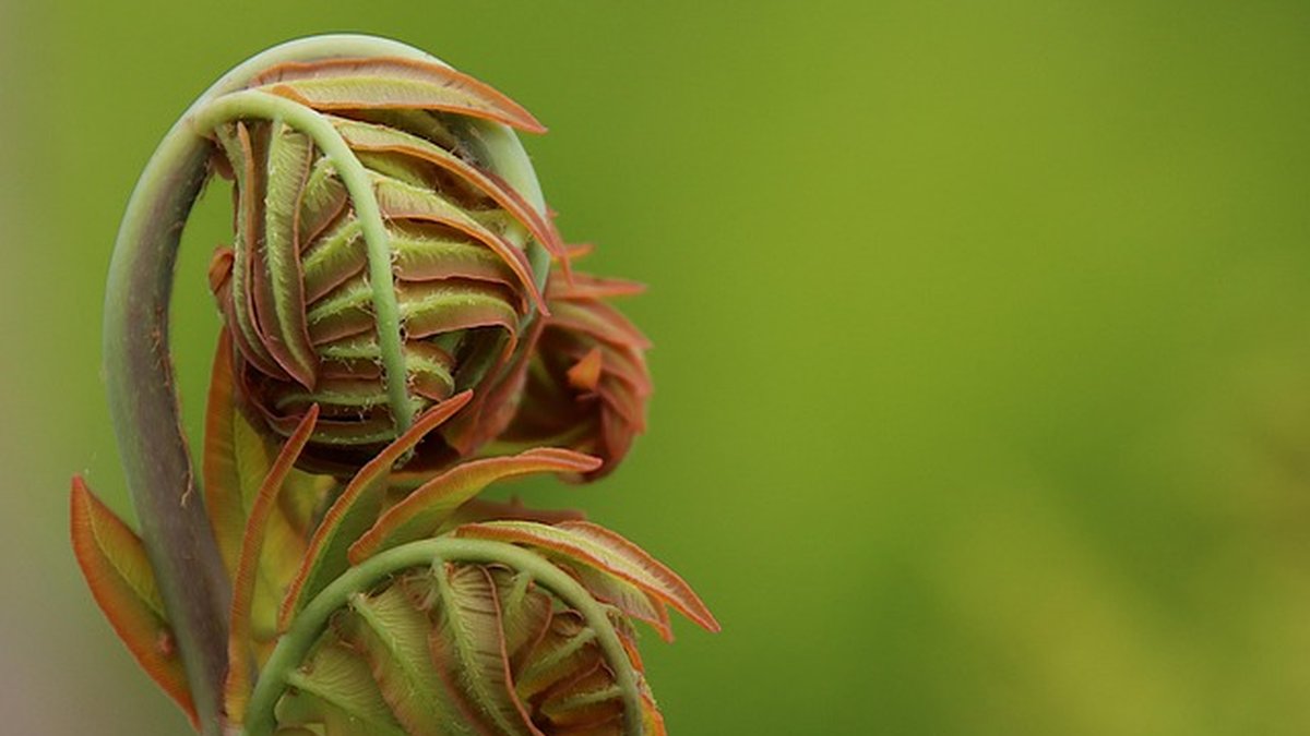 Cumplimiento RGPD para clínicas y despachos profesionales: guía práctica 2026