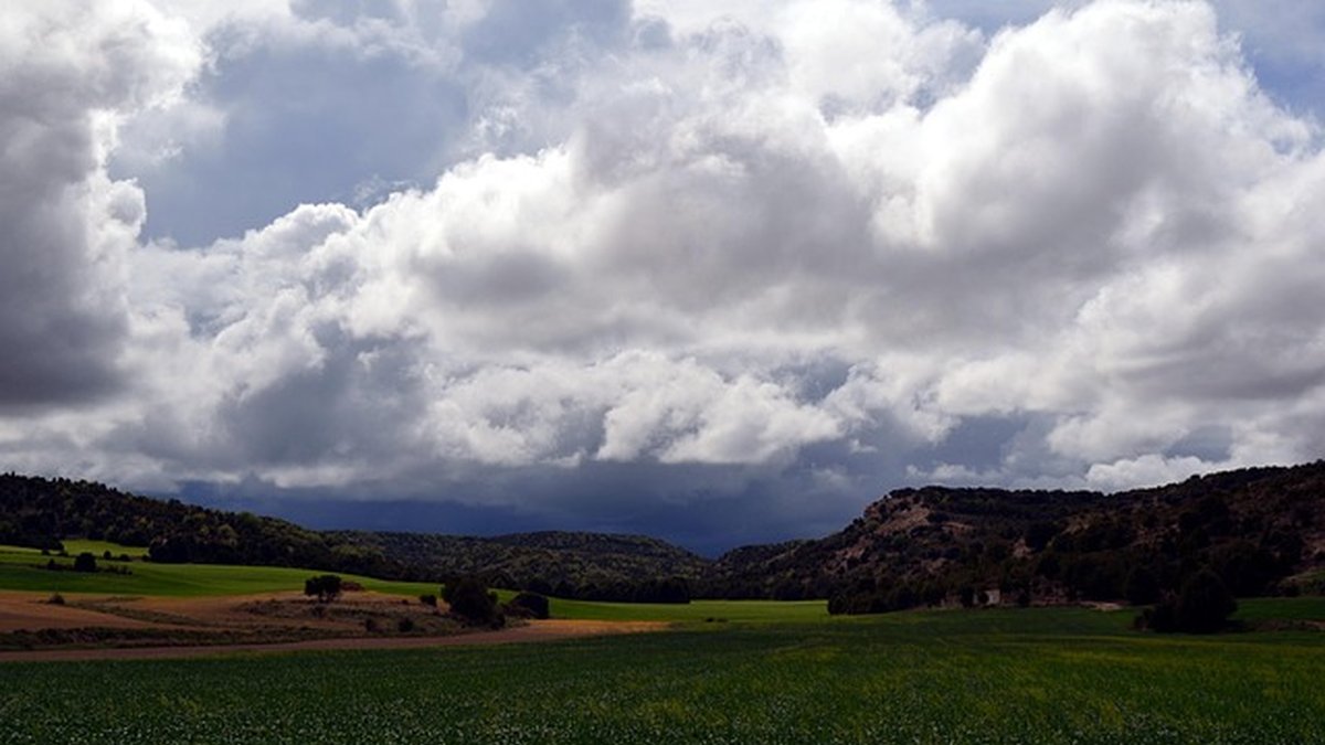 Mejores cursos y certificaciones prácticas para autónomos
