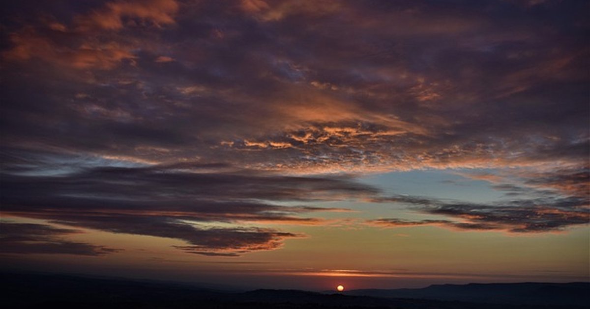 ERP ligeros para microempresas: qué elegir y cuánto cuesta