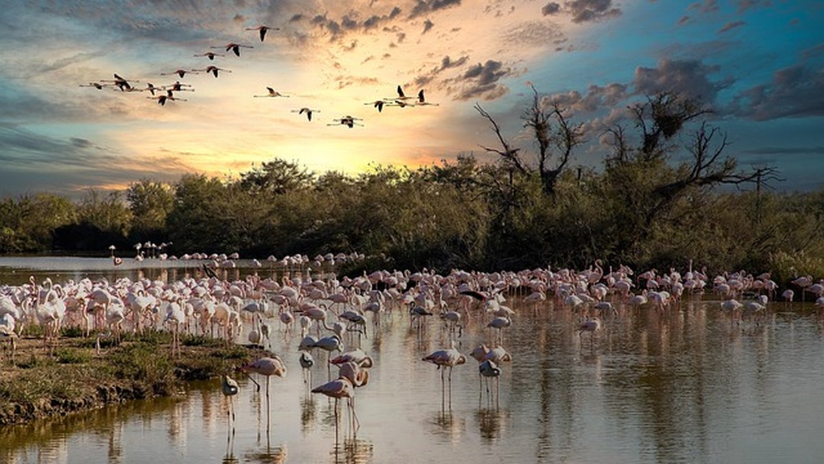 ERP asequible para PYMES: guía práctica para ahorrar