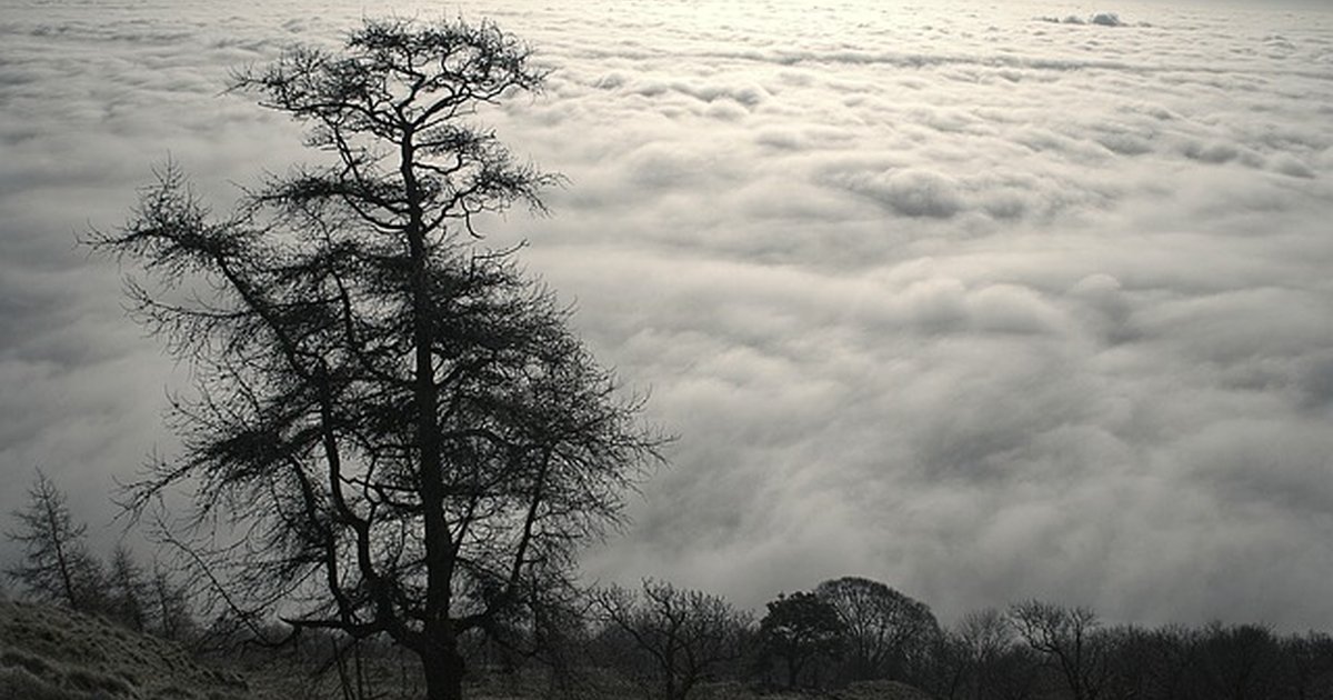 Exportar fuera de España vs invertir en mercado local: qué elegir