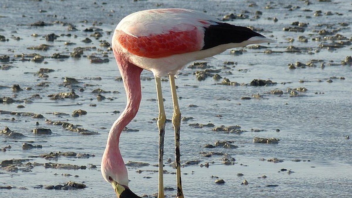 Factoring y financiación de facturas: guía práctica para pymes