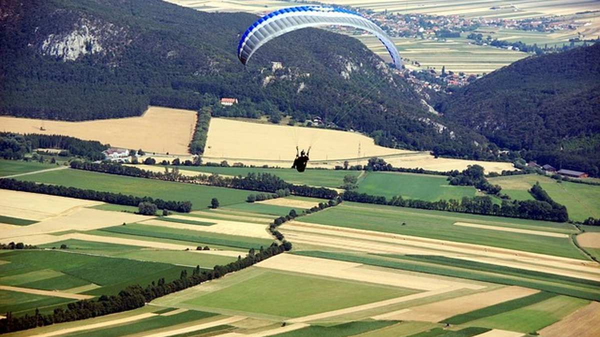 Firma electrónica y contratación digital para empresas: guía práctica