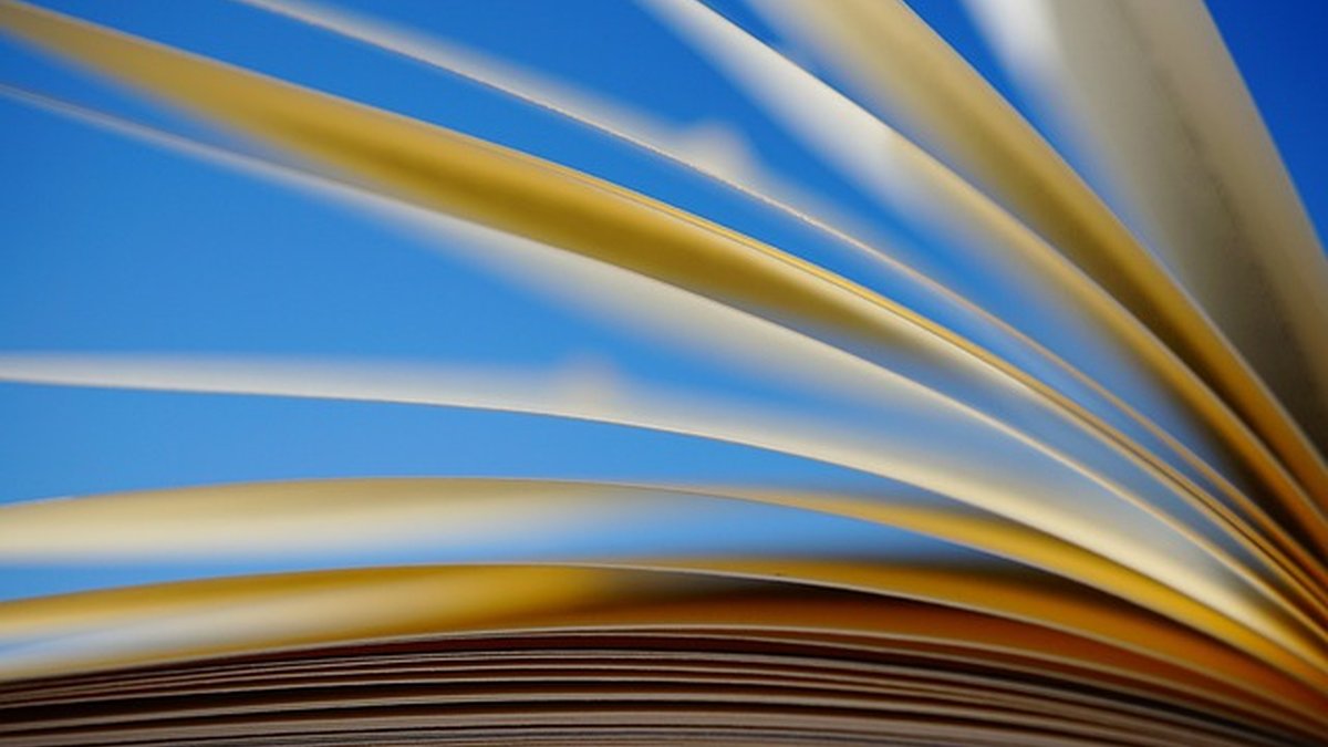 Formación bonificada: cómo recuperar crédito y reducir costes ya