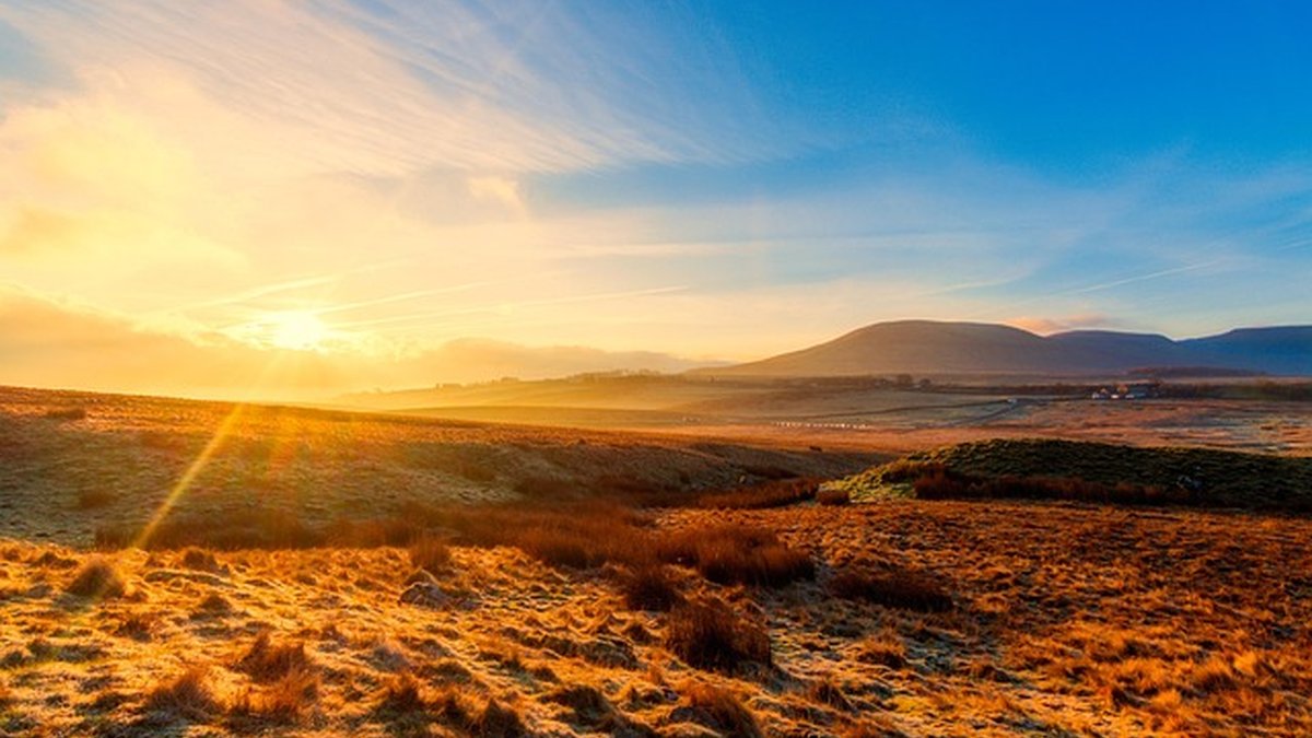 Licitaciones y contratación pública para PYMES: cómo ganar más