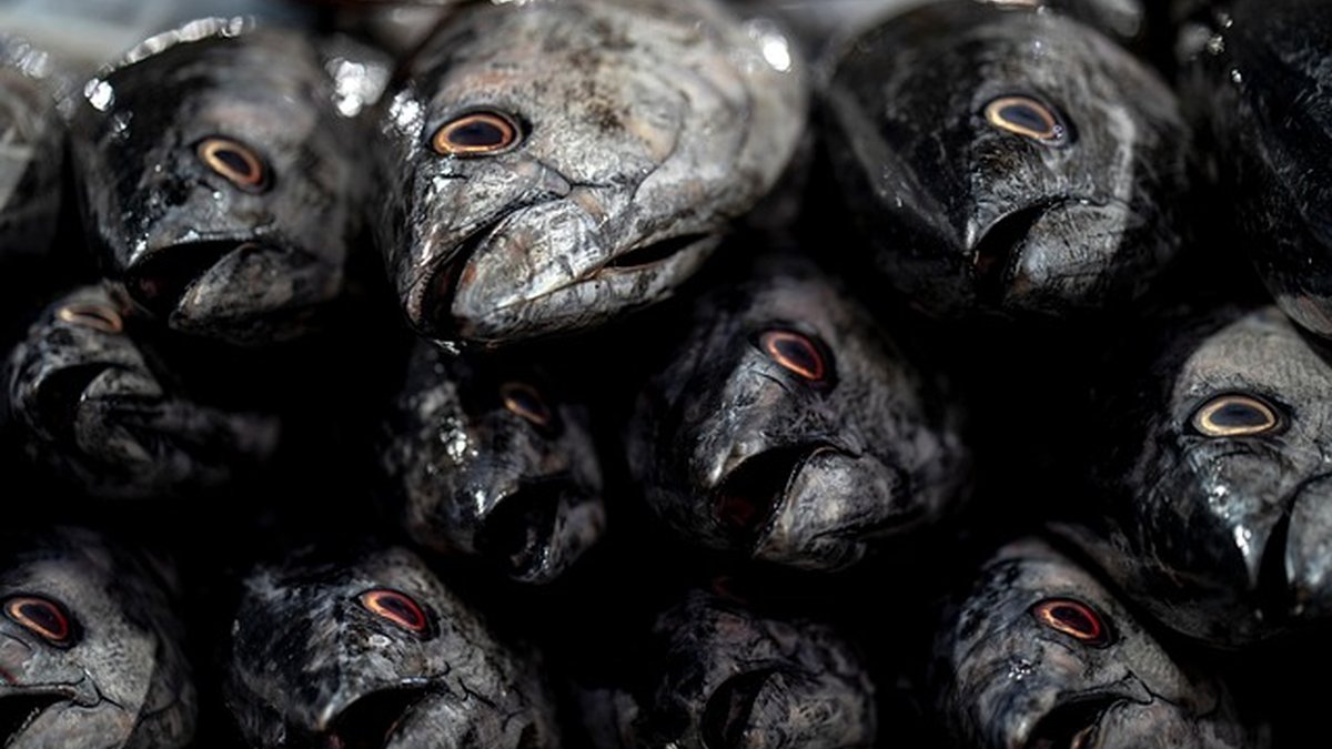 Marketplaces y ventas para artesanos: guía para vender más