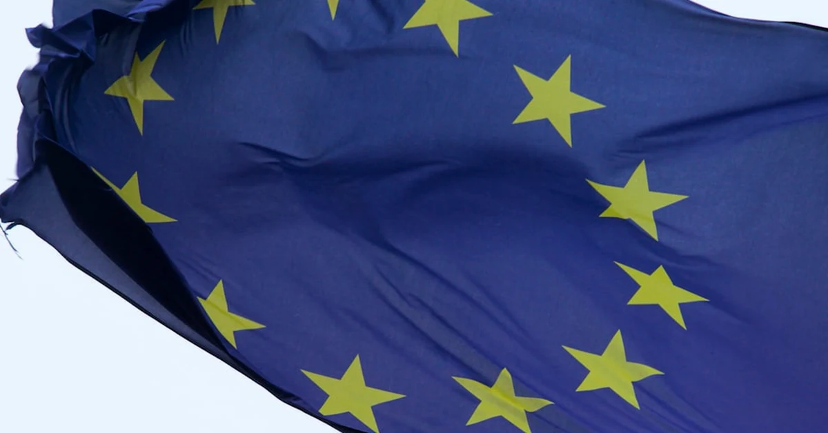 No todos los casos de datos van al supervisor europeo