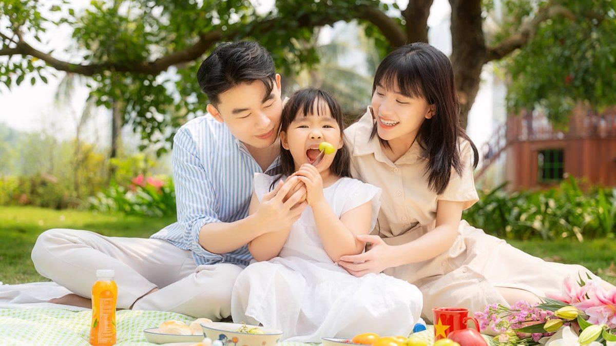 Optimización fiscal para sociedades familiares: transmisión