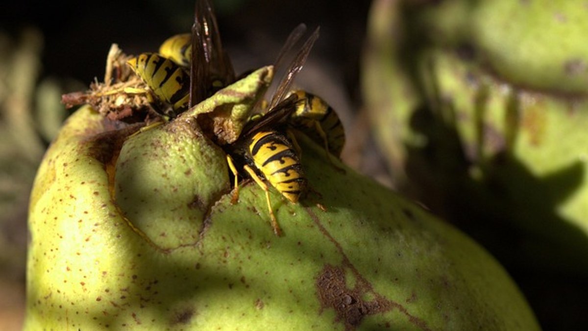 Publicidad offline eficaz para comercios locales: pasos