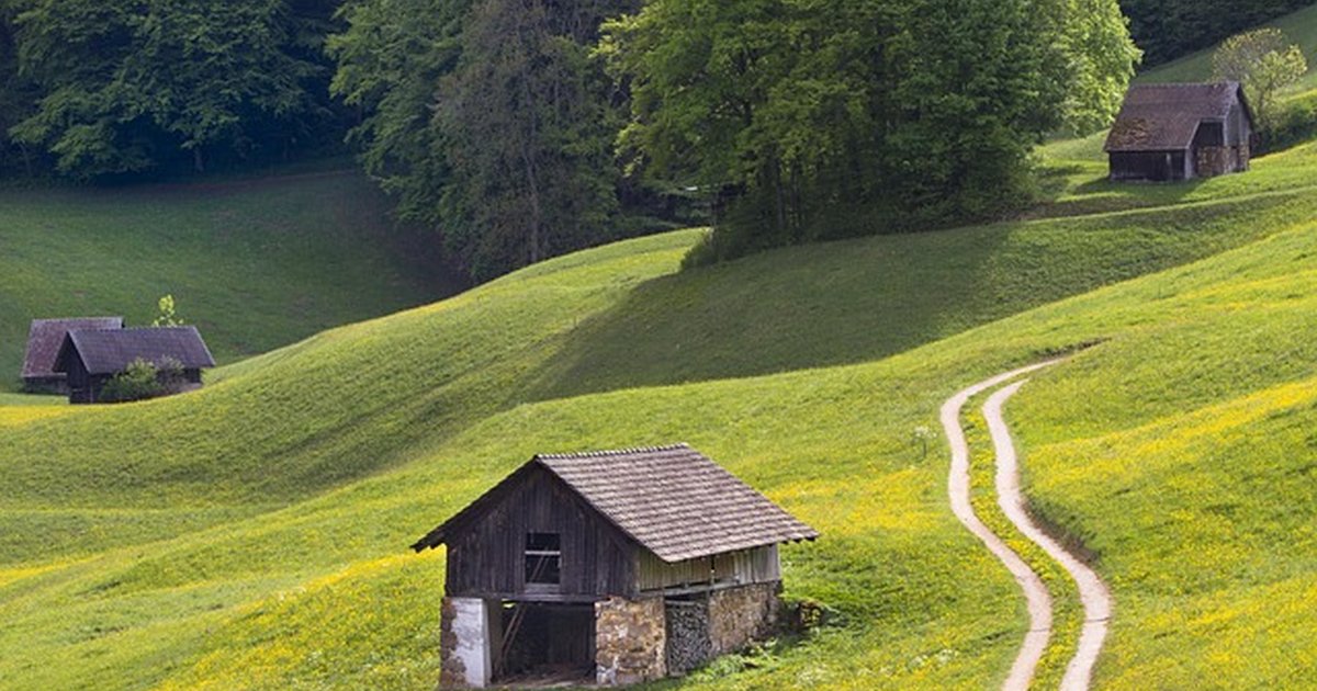 SaaS anual vs suscripción mensual: ¿ahorras de verdad?