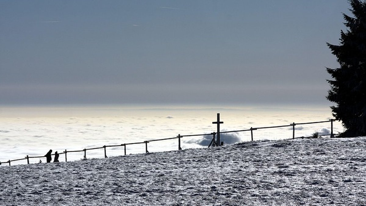 Protege tu pyme: alarmas y cámaras que realmente funcionan