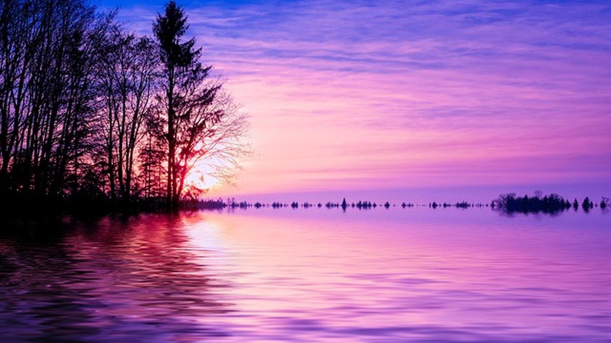 Servicios de traducción y localización para exportación: guía práctica