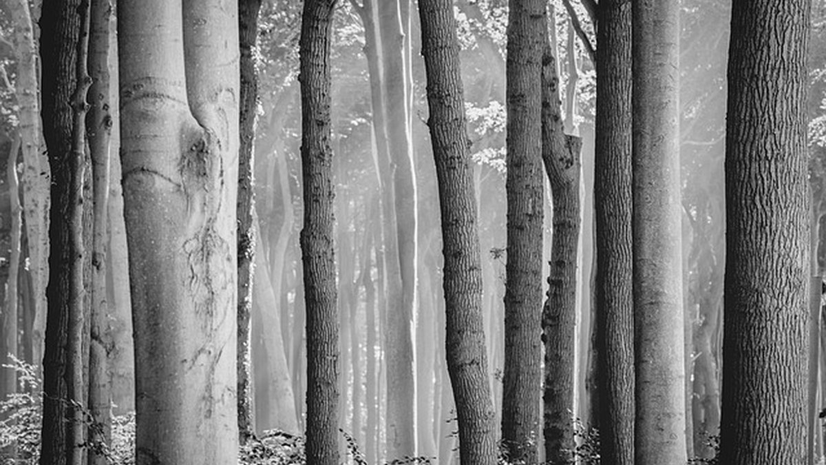 Software SaaS vertical para microempresas: guía práctica y selección rápida